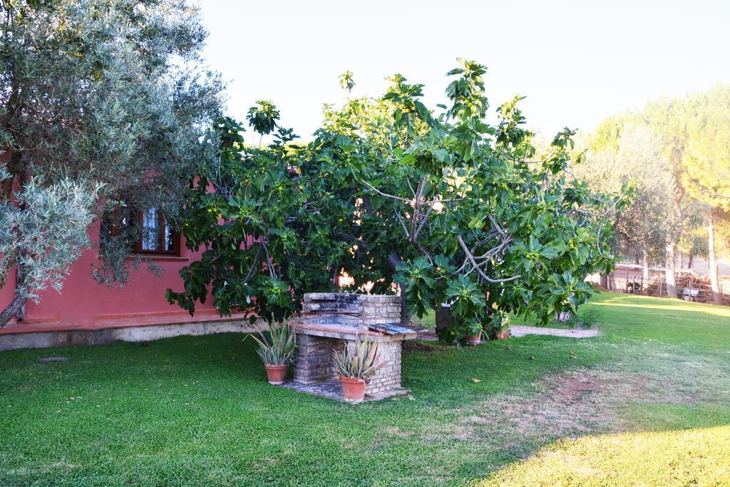 Agriturismo L'Aquilone Magliano in Toscana Exterior foto
