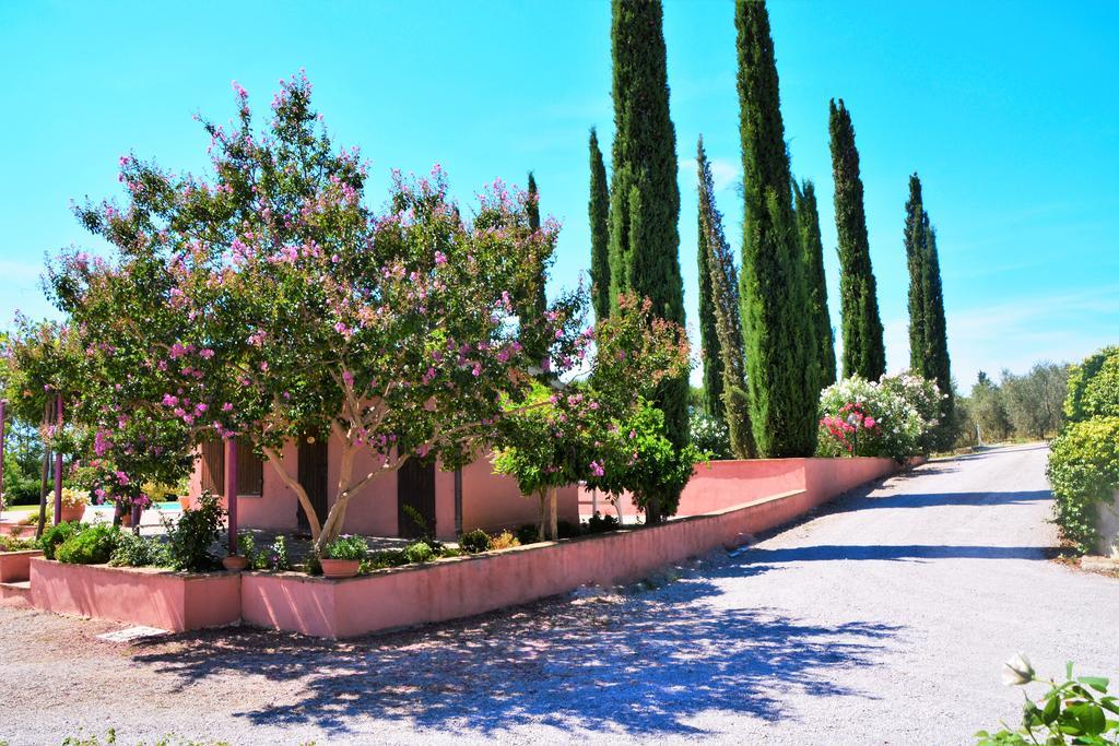 Agriturismo L'Aquilone Magliano in Toscana Exterior foto